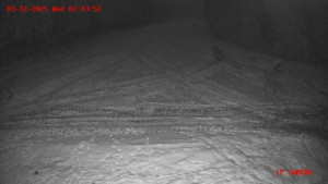 Skiareál Klepáčov - Červená sjezdovka - 3.12.2025 v 02:45 Skiareál Klepáčov - Červená sjezdovka - 3.12.2025 v 02:45