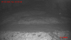 Skiareál Klepáčov - Červená sjezdovka - 10.12.2025 v 00:00 Skiareál Klepáčov - Červená sjezdovka - 10.12.2025 v 00:00