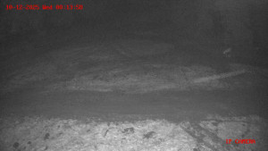 Skiareál Klepáčov - Červená sjezdovka - 10.12.2025 v 00:15 Skiareál Klepáčov - Červená sjezdovka - 10.12.2025 v 00:15