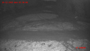 Skiareál Klepáčov - Červená sjezdovka - 10.12.2025 v 01:30 Skiareál Klepáčov - Červená sjezdovka - 10.12.2025 v 01:30