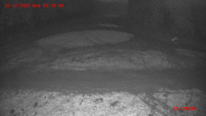 Skiareál Klepáčov - Červená sjezdovka - 10.12.2025 v 02:30 Skiareál Klepáčov - Červená sjezdovka - 10.12.2025 v 02:30