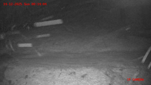 Skiareál Klepáčov - Červená sjezdovka - 14.12.2025 v 00:15 Skiareál Klepáčov - Červená sjezdovka - 14.12.2025 v 00:15