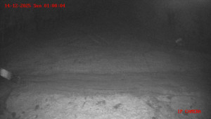 Skiareál Klepáčov - Červená sjezdovka - 14.12.2025 v 01:00 Skiareál Klepáčov - Červená sjezdovka - 14.12.2025 v 01:00