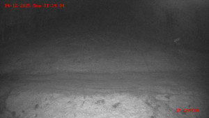 Skiareál Klepáčov - Červená sjezdovka - 14.12.2025 v 01:15 Skiareál Klepáčov - Červená sjezdovka - 14.12.2025 v 01:15