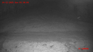 Skiareál Klepáčov - Červená sjezdovka - 14.12.2025 v 01:30 Skiareál Klepáčov - Červená sjezdovka - 14.12.2025 v 01:30