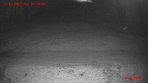 Skiareál Klepáčov - Červená sjezdovka - 14.12.2025 v 05:45 Skiareál Klepáčov - Červená sjezdovka - 14.12.2025 v 05:45