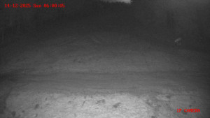 Skiareál Klepáčov - Červená sjezdovka - 14.12.2025 v 06:00 Skiareál Klepáčov - Červená sjezdovka - 14.12.2025 v 06:00