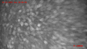 Skiareál Klepáčov - Červená sjezdovka - 14.12.2025 v 18:00 Skiareál Klepáčov - Červená sjezdovka - 14.12.2025 v 18:00