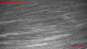 Skiareál Klepáčov - Červená sjezdovka - 14.12.2025 v 23:45 Skiareál Klepáčov - Červená sjezdovka - 14.12.2025 v 23:45