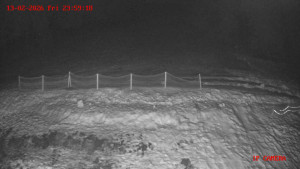 Skiareál Klepáčov - Červená sjezdovka - 14.2.2026 v 00:00 Skiareál Klepáčov - Červená sjezdovka - 14.2.2026 v 00:00