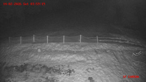 Skiareál Klepáčov - Červená sjezdovka - 14.2.2026 v 04:00 Skiareál Klepáčov - Červená sjezdovka - 14.2.2026 v 04:00