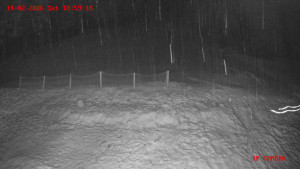 Skiareál Klepáčov - Červená sjezdovka - 14.2.2026 v 19:00 Skiareál Klepáčov - Červená sjezdovka - 14.2.2026 v 19:00