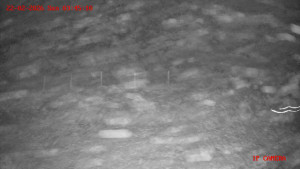 Skiareál Klepáčov - Červená sjezdovka - 22.2.2026 v 03:45 Skiareál Klepáčov - Červená sjezdovka - 22.2.2026 v 03:45