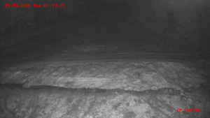 Skiareál Klepáčov - Červená sjezdovka - 15.3.2026 v 03:15 Skiareál Klepáčov - Červená sjezdovka - 15.3.2026 v 03:15