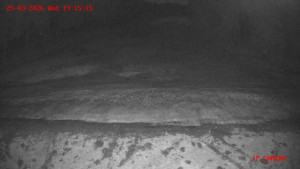 Skiareál Klepáčov - Červená sjezdovka - 25.3.2026 v 19:15 Skiareál Klepáčov - Červená sjezdovka - 25.3.2026 v 19:15