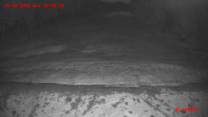 Skiareál Klepáčov - Červená sjezdovka - 25.3.2026 v 20:15 Skiareál Klepáčov - Červená sjezdovka - 25.3.2026 v 20:15