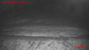 Skiareál Klepáčov - Červená sjezdovka - 25.3.2026 v 21:45 Skiareál Klepáčov - Červená sjezdovka - 25.3.2026 v 21:45