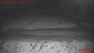 Skiareál Klepáčov - Červená sjezdovka - 16.4.2026 v 00:30 Skiareál Klepáčov - Červená sjezdovka - 16.4.2026 v 00:30