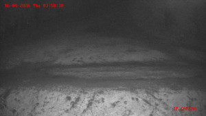 Skiareál Klepáčov - Červená sjezdovka - 16.4.2026 v 04:00 Skiareál Klepáčov - Červená sjezdovka - 16.4.2026 v 04:00