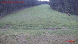 Skiareál Klepáčov - Červená sjezdovka - 16.6.2026 v 07:45 Skiareál Klepáčov - Červená sjezdovka - 16.6.2026 v 07:45