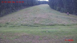 Skiareál Klepáčov - Červená sjezdovka - 27.7.2026 v 13:45 Skiareál Klepáčov - Červená sjezdovka - 27.7.2026 v 13:45
