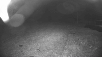 Snímek    20.10.2025 v 23:00