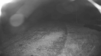 Snímek    23.10.2025 v 04:00