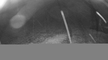 Snímek    25.10.2025 v 22:45