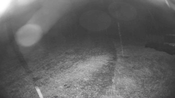 Snímek    26.10.2025 v 00:45