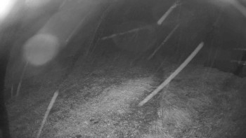 Snímek    26.10.2025 v 03:15
