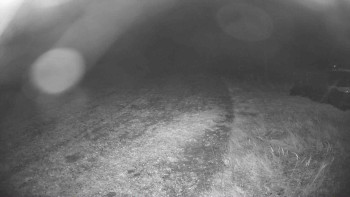 Snímek    26.10.2025 v 22:15