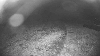 Snímek    27.10.2025 v 01:00