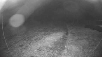 Snímek    28.10.2025 v 01:00