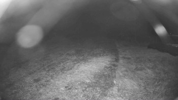 Snímek    29.10.2025 v 02:15