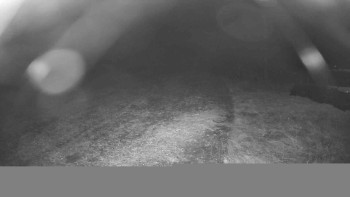 Snímek    29.10.2025 v 03:15