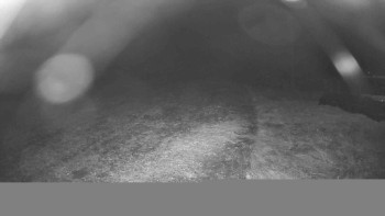 Snímek    29.10.2025 v 03:45