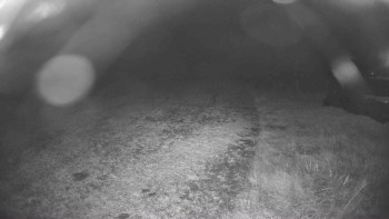 Snímek    29.10.2025 v 20:15