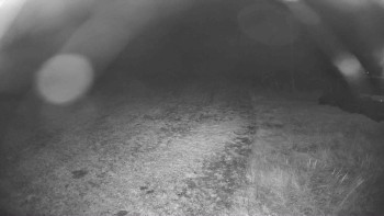 Snímek    30.10.2025 v 01:15