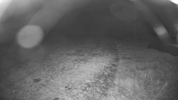 Snímek    30.10.2025 v 01:30