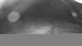 Snímek    30.10.2025 v 02:30