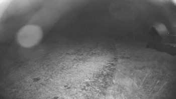 Snímek    30.10.2025 v 03:15