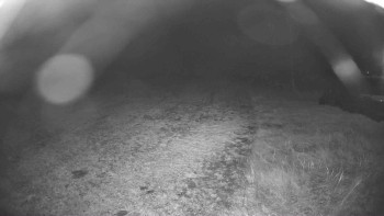 Snímek    30.10.2025 v 03:30