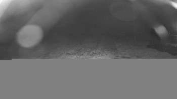 Snímek    30.10.2025 v 05:00