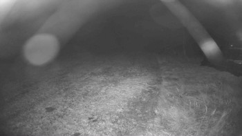 Snímek    31.10.2025 v 01:00