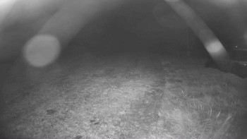 Snímek    31.10.2025 v 02:00