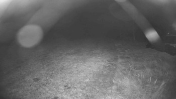 Snímek    31.10.2025 v 03:15