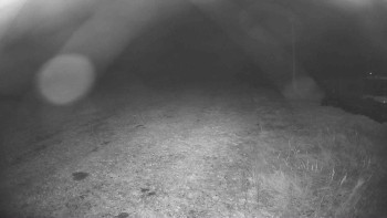 Snímek    1.11.2025 v 01:15