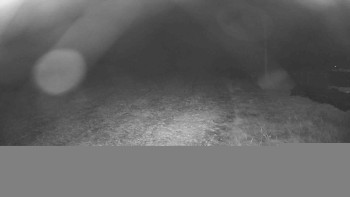 Snímek    1.11.2025 v 04:45