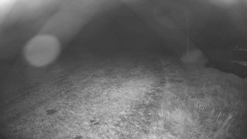 Snímek    1.11.2025 v 05:15