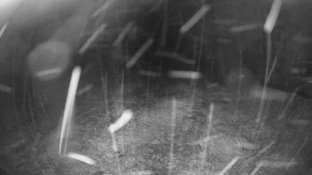 Snímek    3.11.2025 v 00:15